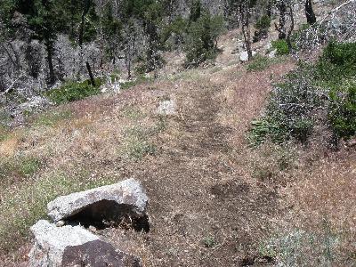 Another cleared section of trail