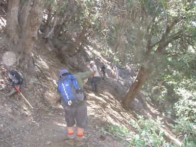 Volunteers clearing Cedar Canyon Trail