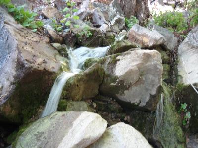 Water along Cedar Canyon Trail