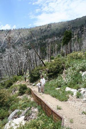 Sutter Wall along the trail